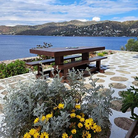 Almyra Seaside Villa Perdika  Bilik gambar