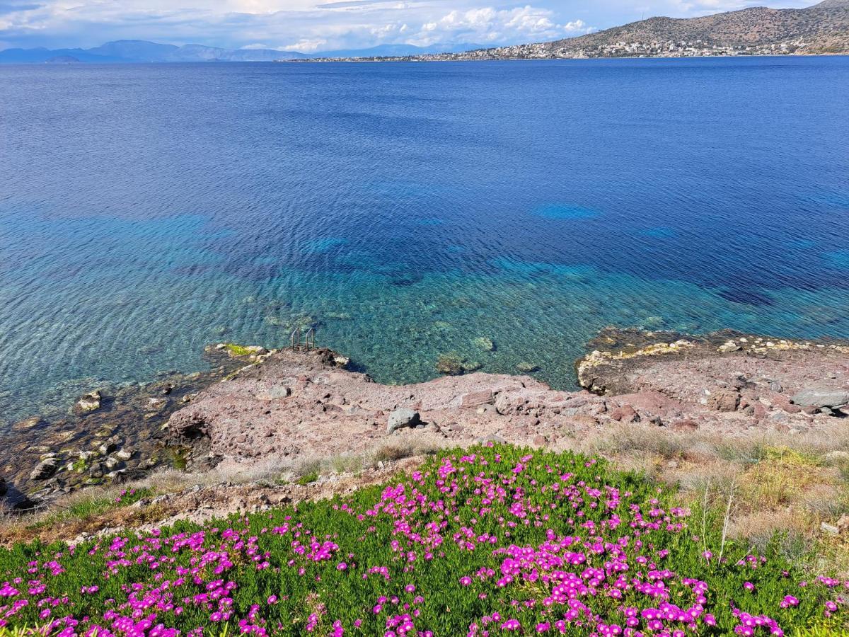 Almyra Seaside Villa Perdika  Luaran gambar