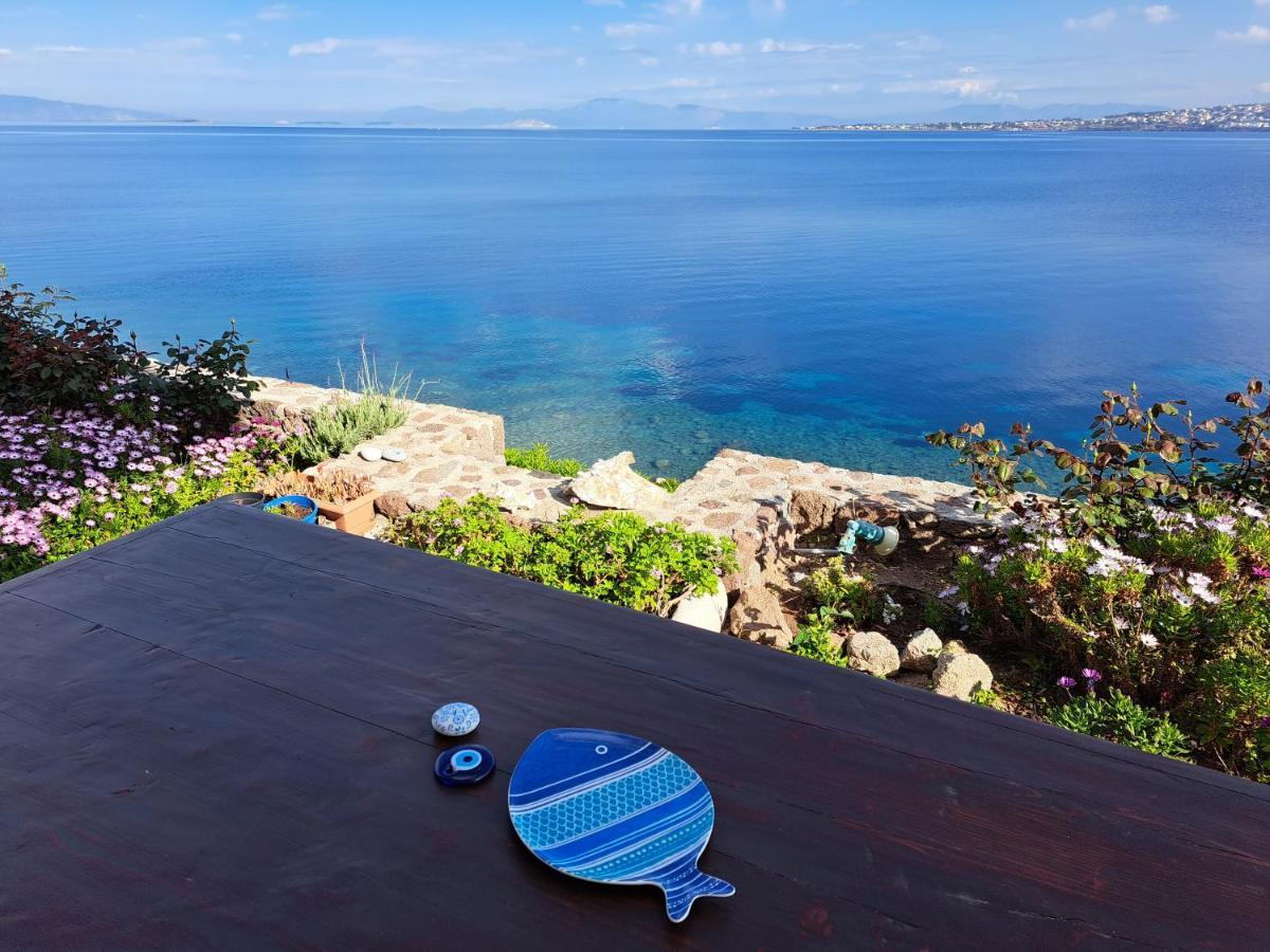 Almyra Seaside Villa Perdika  Luaran gambar